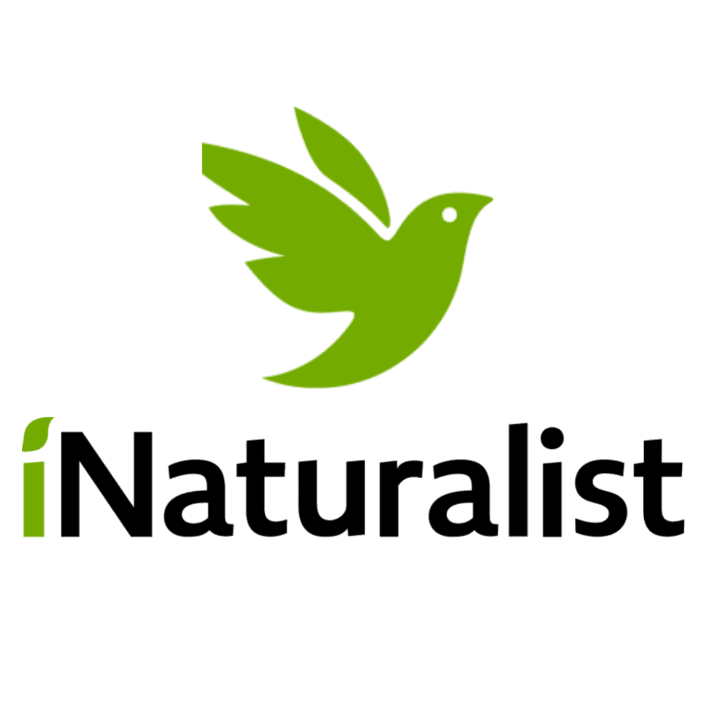 iNaturalist logo